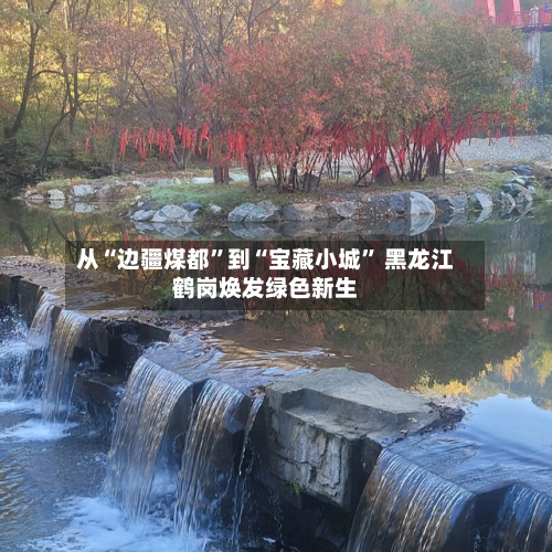 从“边疆煤都”到“宝藏小城” 黑龙江鹤岗焕发绿色新生-第2张图片