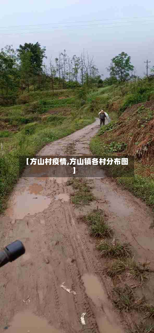 【方山村疫情,方山镇各村分布图】