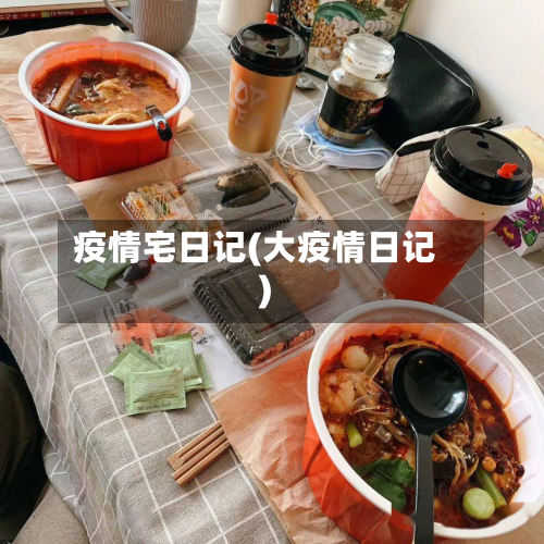 疫情宅日记(大疫情日记)-第2张图片
