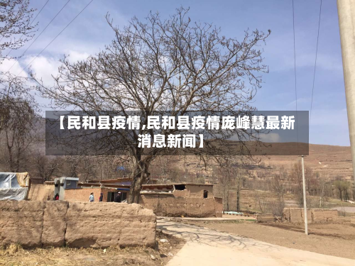 【民和县疫情,民和县疫情庞峰慧最新消息新闻】-第2张图片