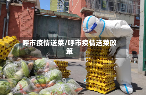 呼市疫情送菜/呼市疫情送菜政策