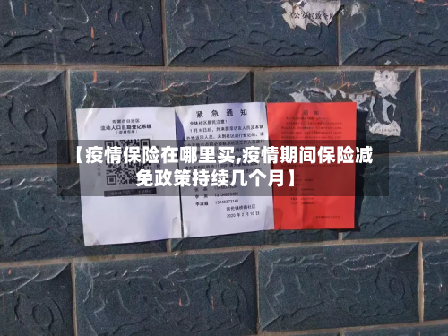 【疫情保险在哪里买,疫情期间保险减免政策持续几个月】