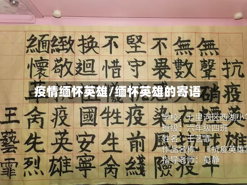疫情缅怀英雄/缅怀英雄的寄语-第1张图片