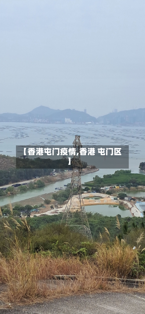 【香港屯门疫情,香港 屯门区】