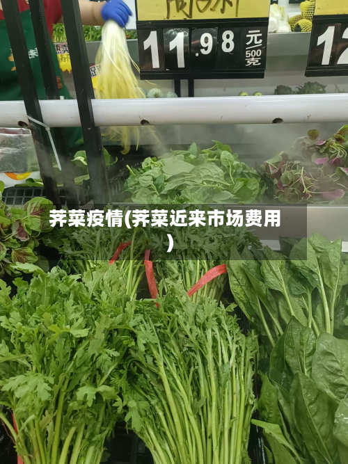 荠菜疫情(荠菜近来市场费用)