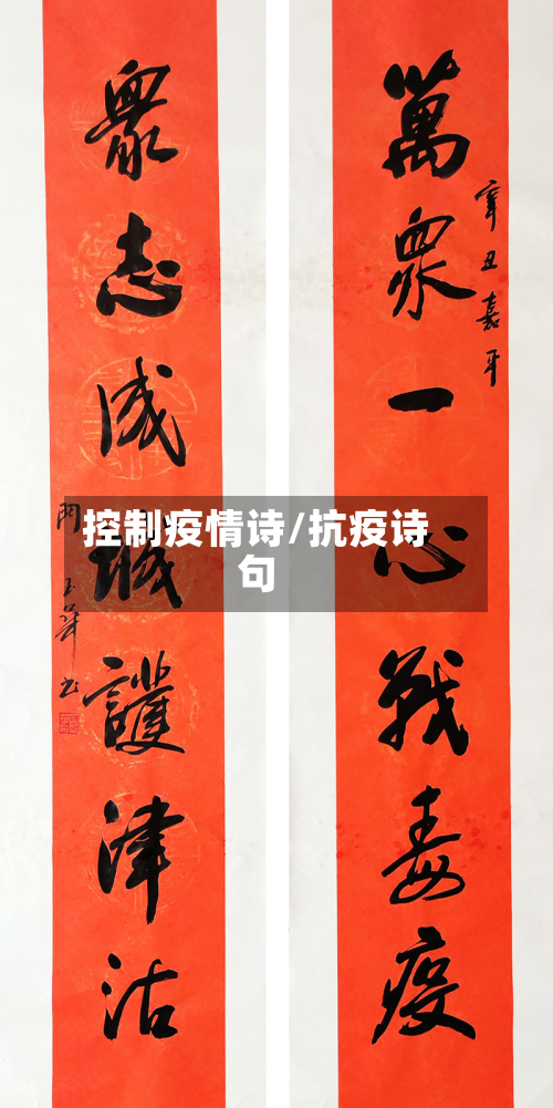 控制疫情诗/抗疫诗句-第1张图片